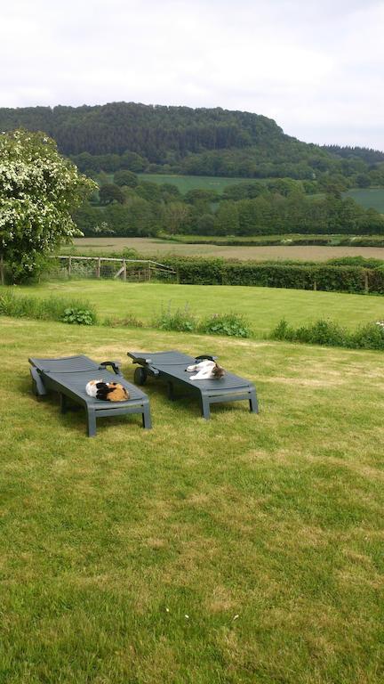 Upper Letton Farm Leintwardine Exterior foto