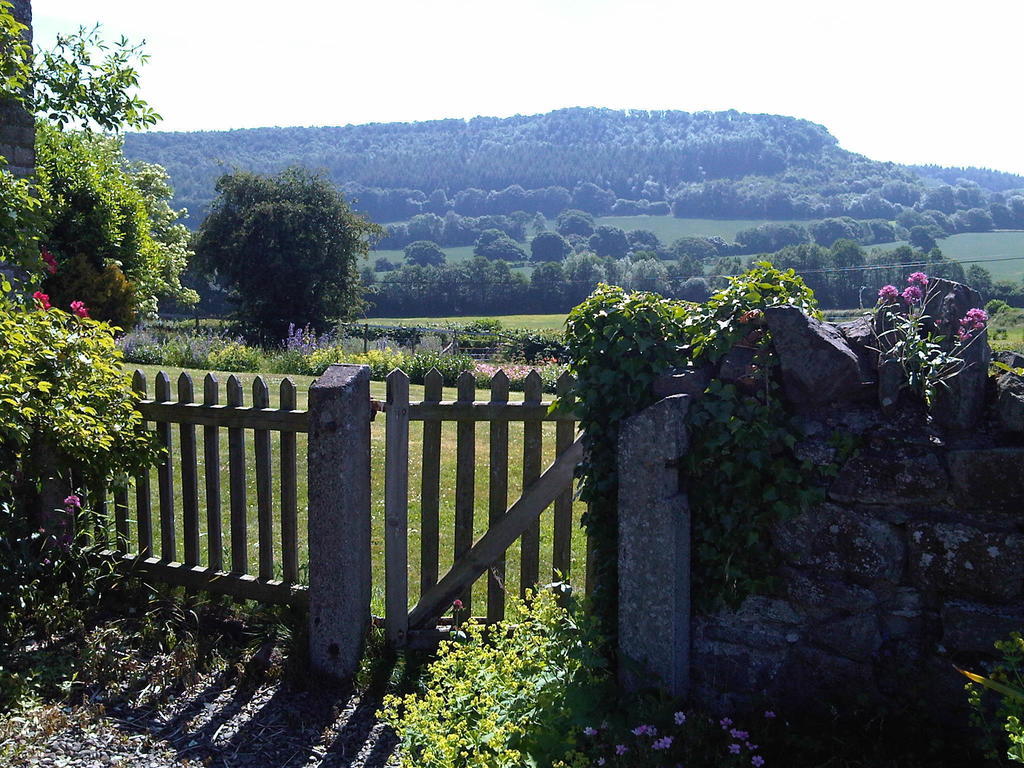 Upper Letton Farm Leintwardine Exterior foto