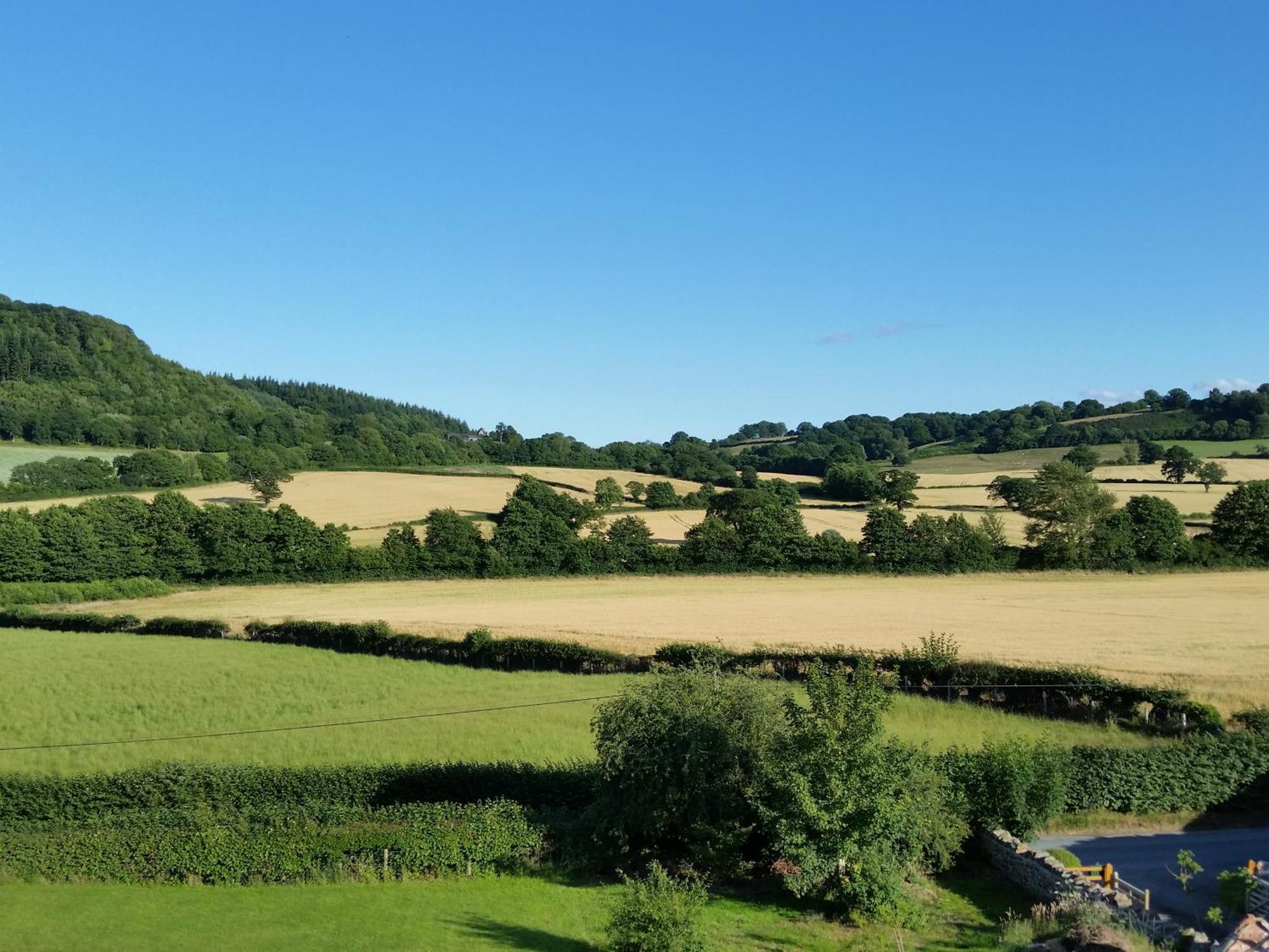 Upper Letton Farm Leintwardine Exterior foto